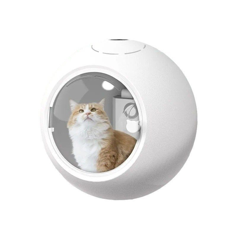 宠物烘干箱猫咪烘干机家用小型狗狗吹毛猫洗澡吹干自动吹风机,淘宝优惠券,粉丝福利购,淘宝优惠卷