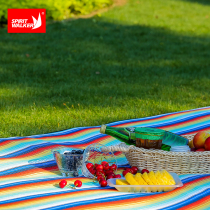 Outdoor Enlarged Tent Moisturenic p pad Multi-person camping Camping Ground Mat 3X3 Med widening Thickened Machine Washable