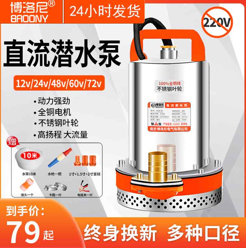 潜水泵家用电瓶车取电水2Vv24V48V60灌电瓶抽1机农用V溉高 - 图3