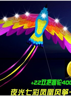 夜光风风11647筝高端0风筝22筝2新款ed带灯光坊l潍夜光大型风筝
