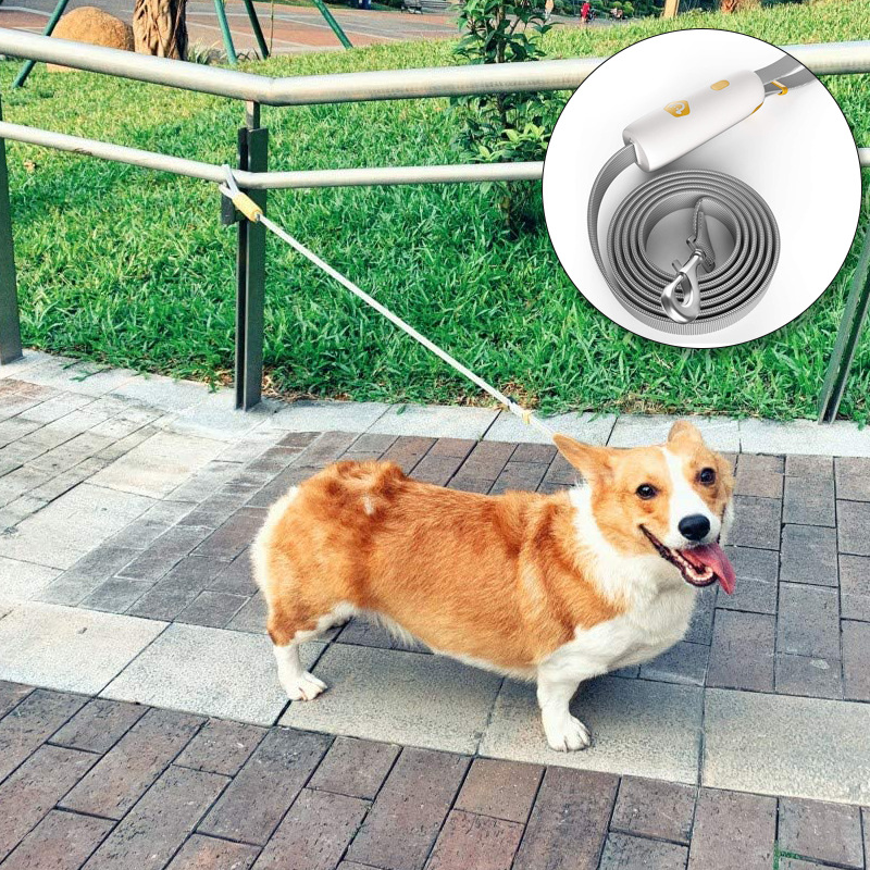 ied Dog Corgi Dogo ahain Dog TrCction Rope Anti-Lost Dog Rop - 图2