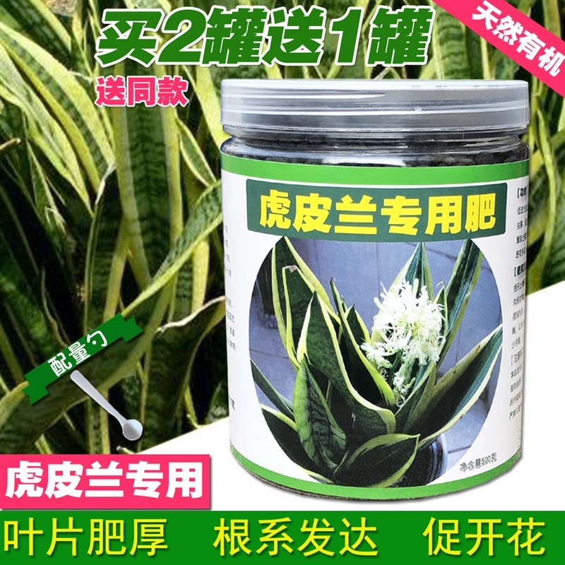 虎皮兰肥料 专用肥 金边虎皮兰营养肥料室内植物盆栽大型花卉绿植 - 图0