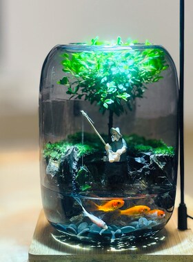 苔藓微景观生态瓶缸成品盆栽盆景成品造景赤楠绿植好养活桌面卧室