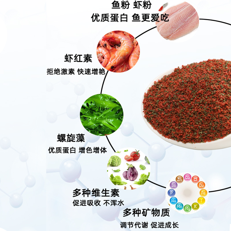 小型鱼饲料微i雀鱼凤尾鱼灯科斗鱼神彩七仙鱼小颗粒孔粒通 - 图0