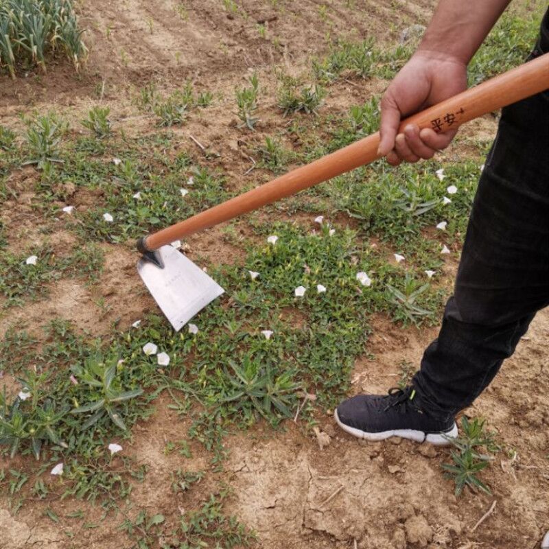 挖土除草锄头 家用扁锄 农具全钢加厚种菜开荒两用老式板锄小锄头 - 图1