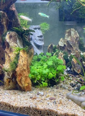 北欧创意复活岛石像水泥草缸鱼缸摆件沉水造景家居客厅桌面装饰品