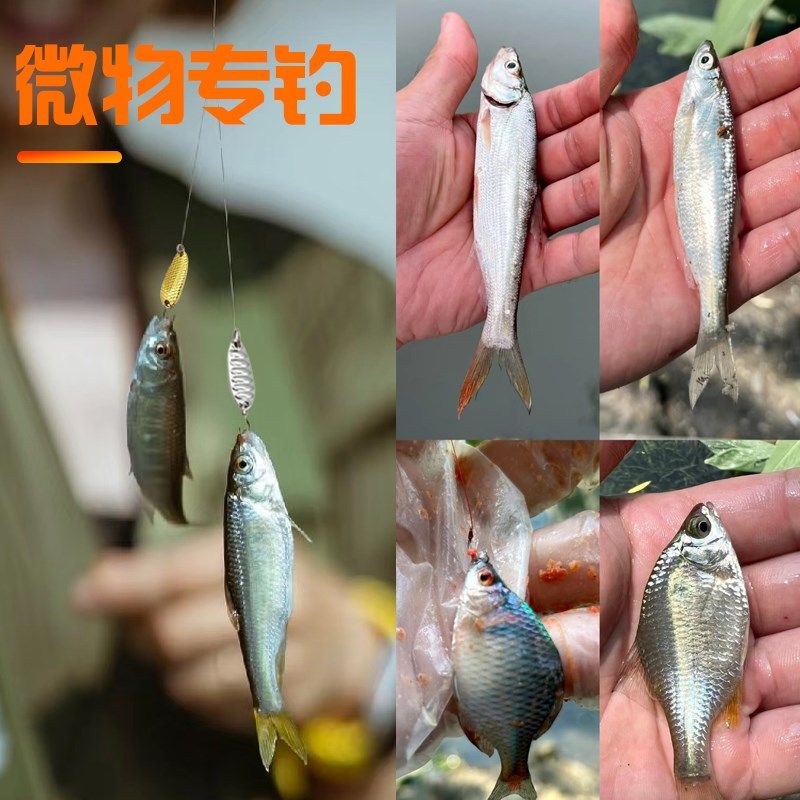 微物亮片路亚饵远投小铁板路亚饵套装马口白条翘嘴淡水鱼通杀假饵,淘宝优惠券,粉丝福利购,淘宝优惠卷