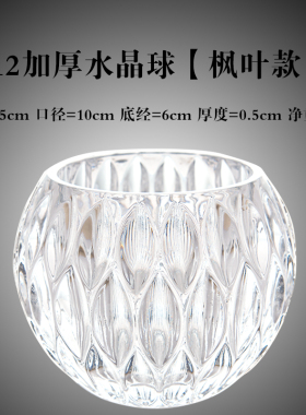 婷直销工厂豫水培器皿创意玻璃花盆水养植物瓶透明花器绿萝铜钱草