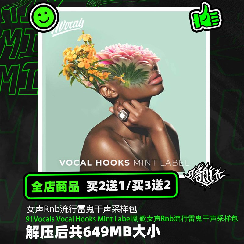 91Vocals Vocal Hooks Mint Label副歌女声RnTb流行雷鬼干声采样 - 图0