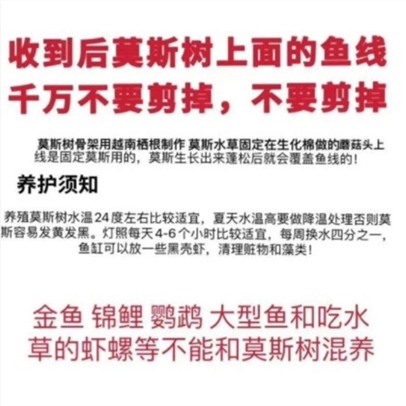 套缸造景全e成生态鱼缸装饰造景水生植物鱼缸造景套装鱼品鱼缸树