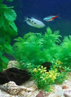 热销30cm Artificial Aquarium Underwater Plant Fish Tank Subm