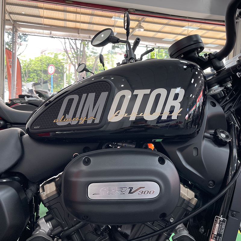 适用钱江闪300S油箱贴QJMOTOR闪500S鱼骨贴摩托车改装油箱保护贴 - 图0
