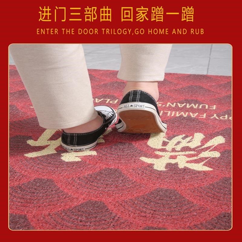 免洗入户门地垫丝圈地毯家用进门门口门外门垫进户门除尘脚垫,淘宝优惠券,粉丝福利购,淘宝优惠卷