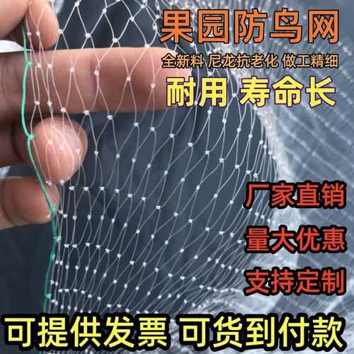 果园防鸟网尼龙樱桃葡萄果树拦鸟用的网鱼塘天网大棚防护网养殖网 - 图0