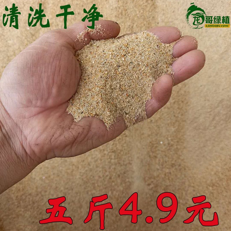 极速粗河沙花用粗沙粒细沙种植鱼缸底铺面宠物蚂蚁珍珠岩养花用大 - 图0