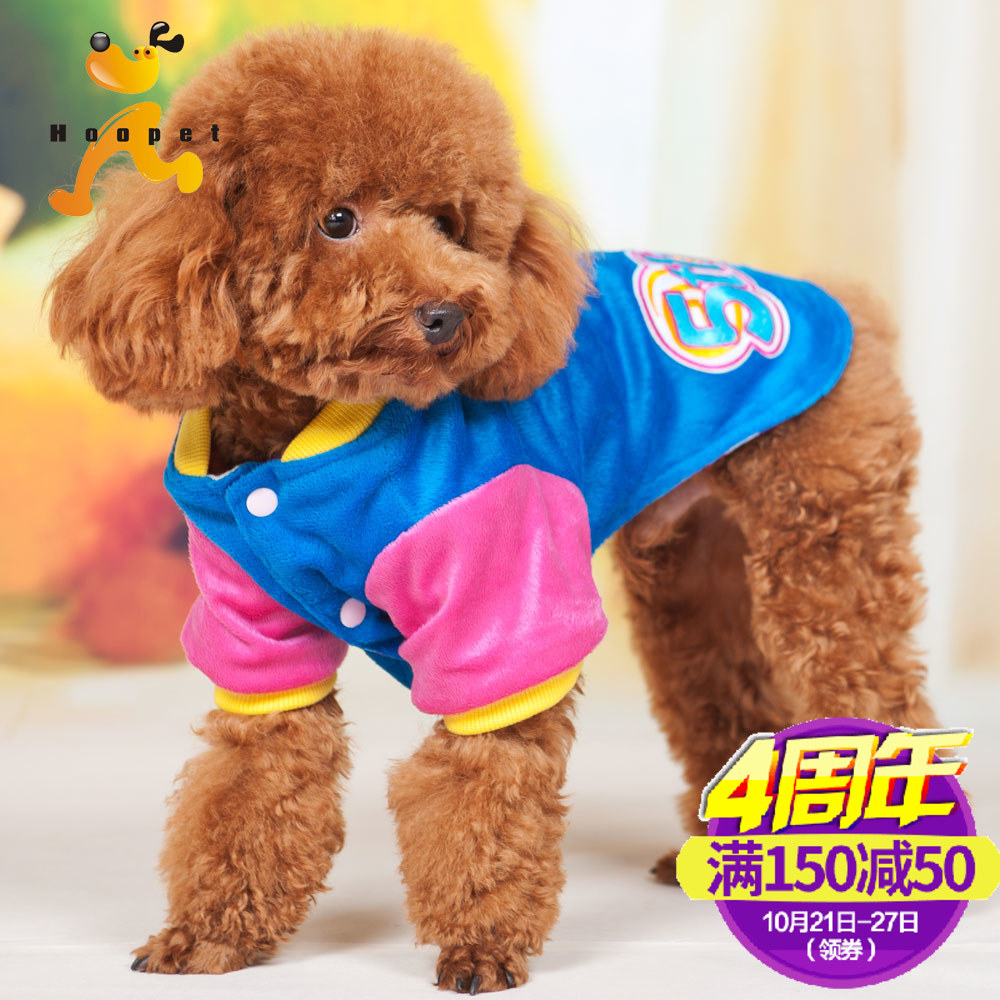 chinese teddy dog