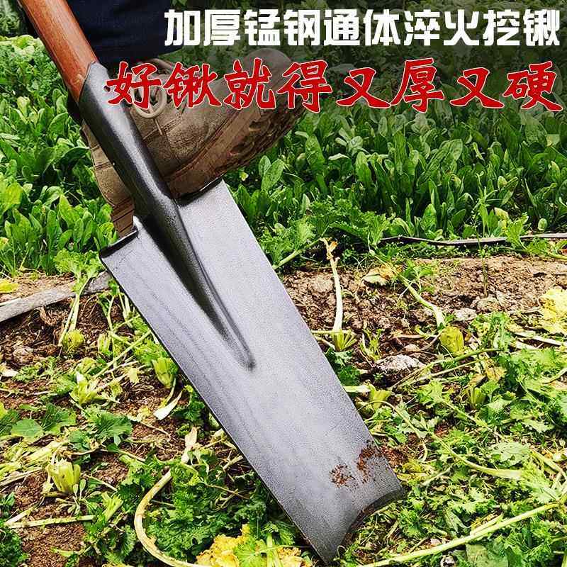 铁锹锰钢挖树挖土松土神器挖坑起苗户外专用洛阳铲子树根农用工具,淘宝优惠券,粉丝福利购,淘宝优惠卷
