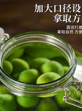 泡酒玻璃瓶酒瓶青梅酒空瓶自酿杨梅果酒20斤装密封罐酒罐容器其他