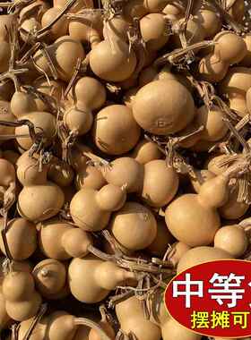 一手货源带龙头天然葫芦迷你小手捻葫芦把玩件地摊文玩供应真葫芦