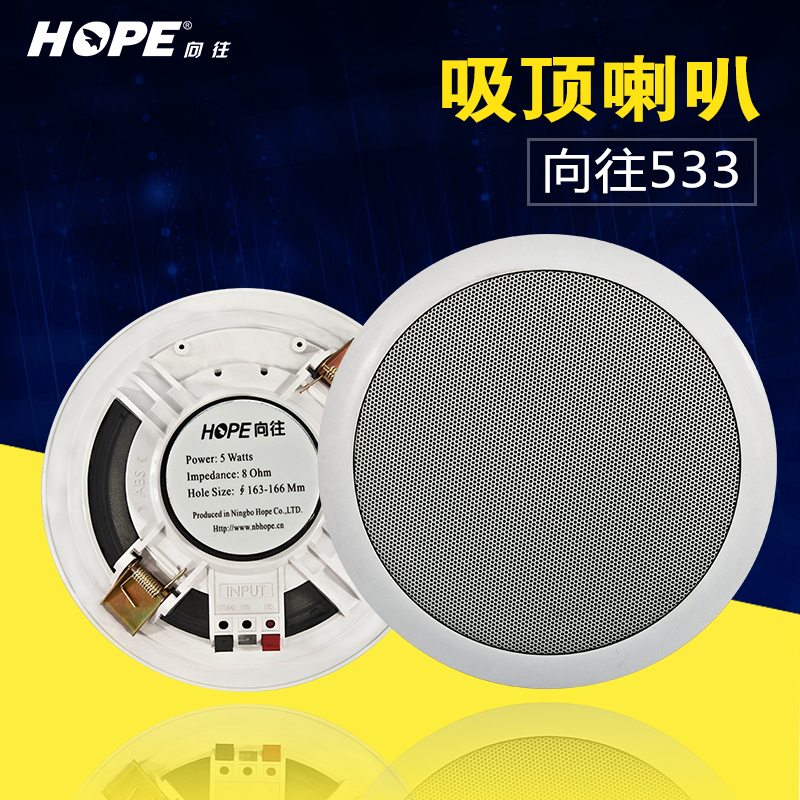 Buy Longing Xw 533 Ceiling Speakers Ceiling Speaker Ceiling