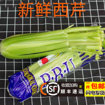 Fresh West Cress Large Bare Half Leaf Western Celery Green Vegetable Juicing Tender Hearts Shandong Greens Cilantro cress Shunfeng