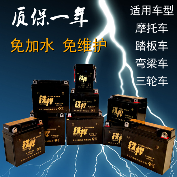 摩托车电瓶12v免护9干A助2力车维15踏板车7A310弯梁车通用电瓶蓄 - 图2