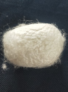 天然双宫蚕茧蚕茧做蚕丝被原料