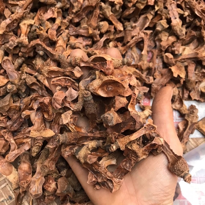 广西茶籽芯500g 野生老茶树茶子心茶饮天然无污染农添加优质正品 - 图0