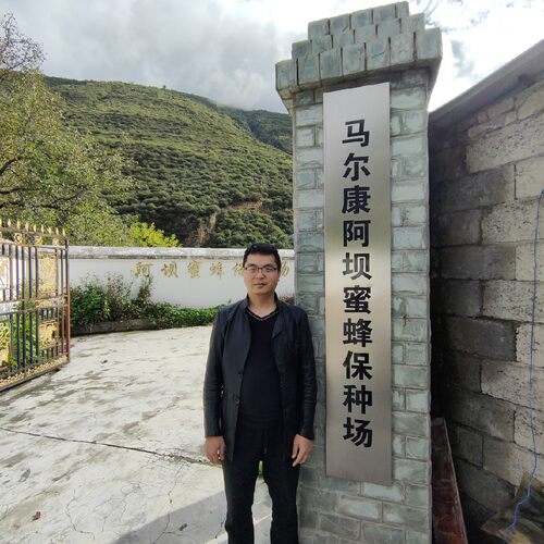 阿坝蜂王中华蜜蜂处女王阿坝源种王中蜂开产王大麻蜂川东蜂王包邮 - 图0