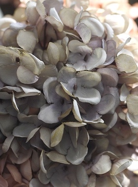 摆设仿真花假花绢花秋色绣球新款婚庆家居摄影道具花艺装饰文艺