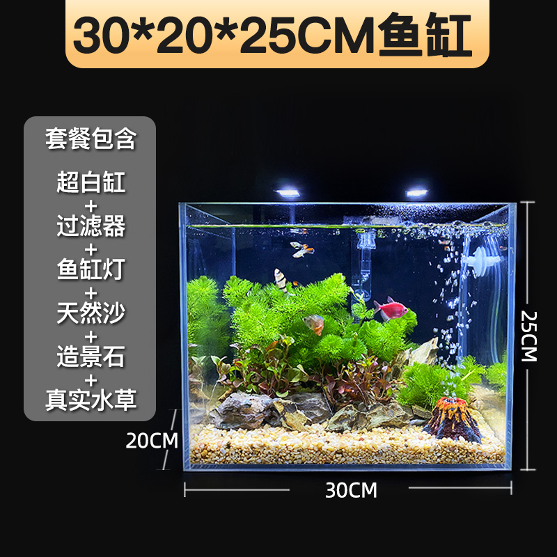 新超白造景鱼缸客厅小型2r022新款办公桌面生态缸水草植物砂石一 - 图2