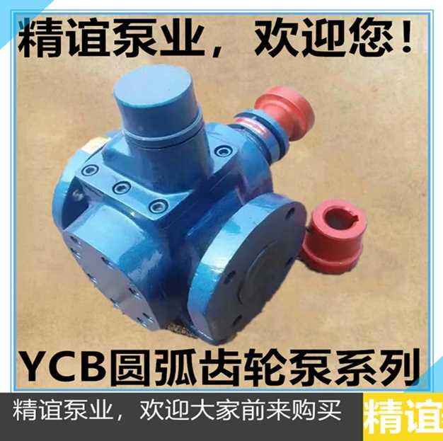 新品0包邮圆弧齿轮油泵YCB066 润滑 泵增Q压泵燃油泵 齿轮 泵 - 图1