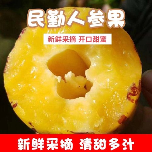 十个勤天助农甘肃民勤人参果新鲜黄肉熟果孕幼儿水果清甜低糖多汁 - 图3