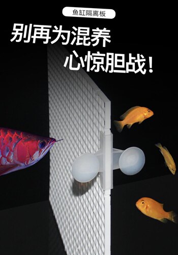 鱼缸隔离网板防跳盖水族龟缸晒台网格板塑料隔板隔断可裁剪拼接 - 图0