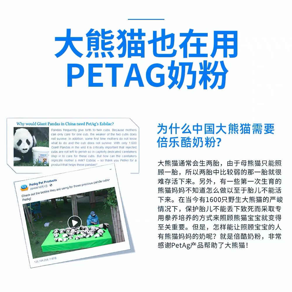 美国进口kmr幼猫专用非羊奶粉倍酷petag猫咪贝酷贝克宠物猫奶粉