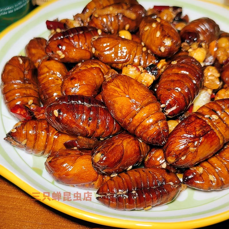 即食虫子美食大蚕蛹油炸昆虫柞蚕食用大黄蛹熟食美味高蛋白质大蛹 - 图2