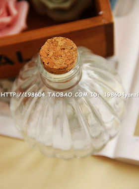 水培植物吊兰绿萝软木塞玻璃瓶