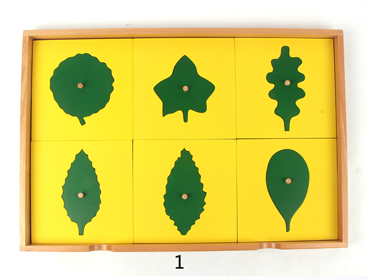 蒙氏科学文化教具蒙特梭利蒙台梭利教具 树叶嵌板柜 叶形嵌板橱 - 图0