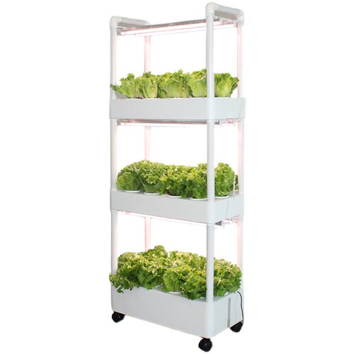阳台种菜神器多层家庭水培蔬菜种植箱智能种菜机室内无土栽培设备 - 图3