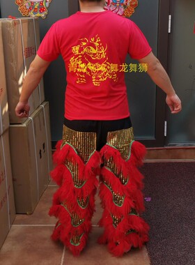 醒狮服南狮服装狮团服