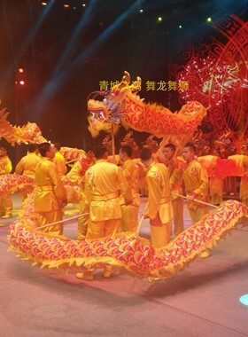 小学生舞龙儿童龙5号绸布龙