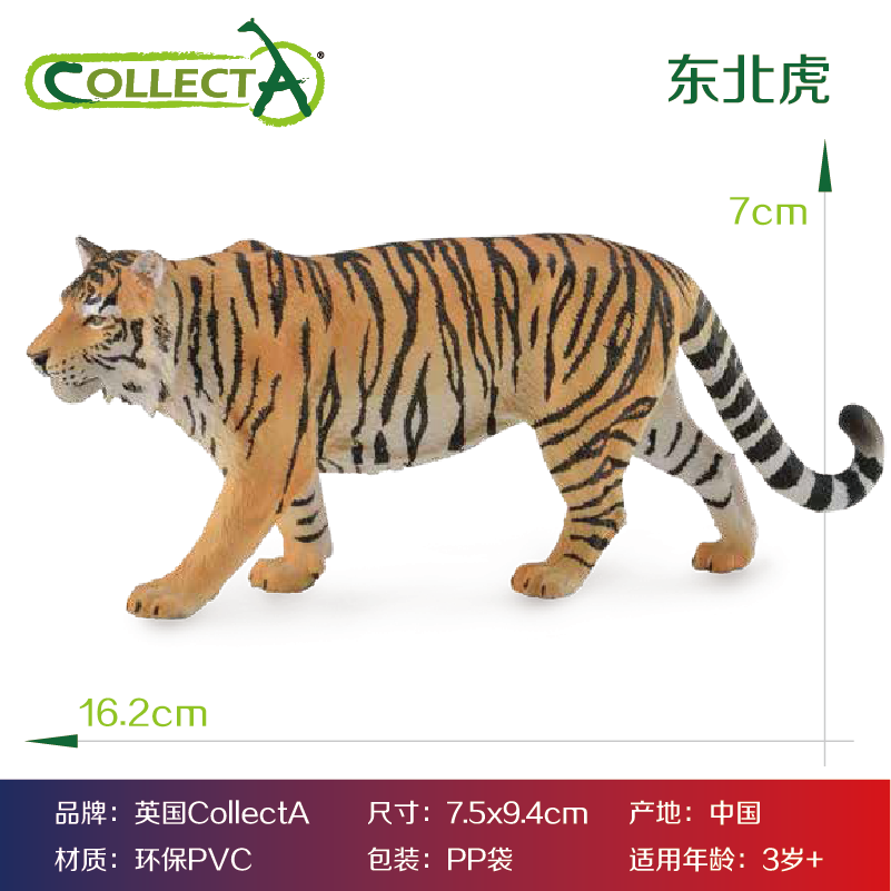 CollectA猫科动物 仿真模型玩具 狮子鬣狗老虎雪豹猎豹胡狼耳廓狐 - 图2