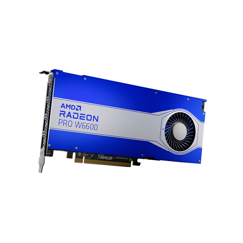 全新原厂盒装 AMD Radeon Pro W6600 8GB 多屏输出 专业显卡 - 图3