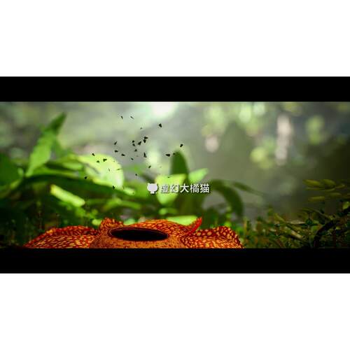 UE4UE5 Animal Particle FX 鱼群鸟群昆虫萤火虫动物奶瓜粒子特效 - 图1