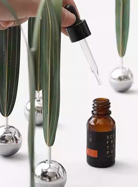 入诗风之舞扩香器会呼吸的小草