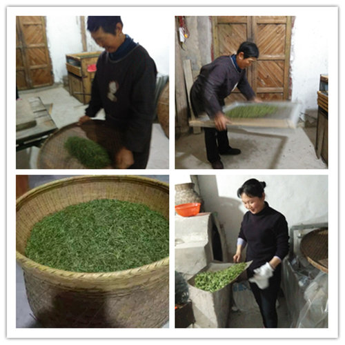 2026年新茶兰香春茶绿茶黄山毛峰茶云雾茶深山野生茶手工农家手工 - 图3