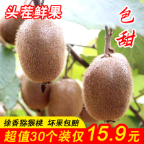 Jiangshan Xu Xiangya Kiwi Fruit Fresh Now Off Fruit When Should Season Green Heart Year Goods Chic Exotic Fruit Whole Box 5 catties