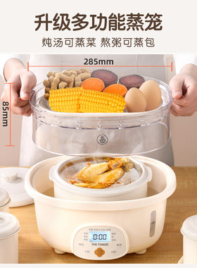 天际隔水炖陶瓷电炖盅全自动