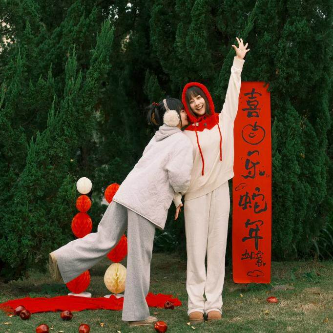 2025喜乐蛇年新年写真拍照背景条幅道具外景拍摄挂布过年摄影装饰