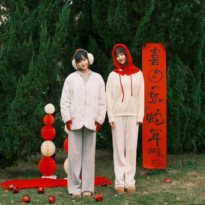 2025喜乐蛇年新年写真拍照背景条幅道具外景拍摄挂布过年摄影装饰